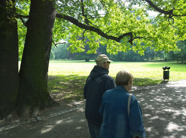 Senior couple in the park - Photo, Image