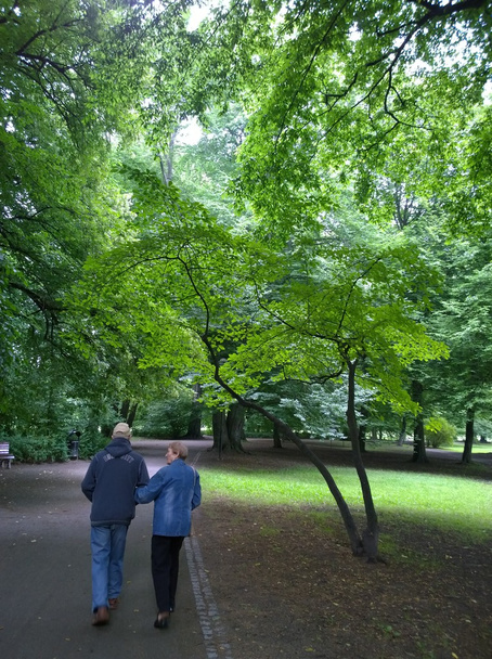 Senior couple in the park - Fotoğraf, Görsel