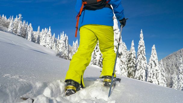 LOW ANGLE: Mies splitboarder astuu syvä jauhe lumi kun tutkitaan Alpeilla. - Valokuva, kuva