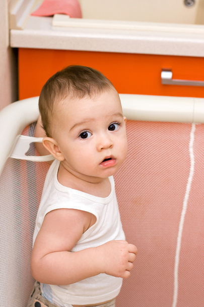 Cute caucasian baby in manege - Foto, imagen