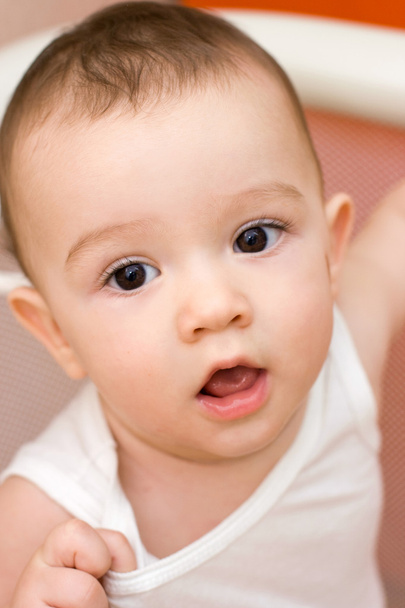 Fun caucasian baby portrait - Photo, image