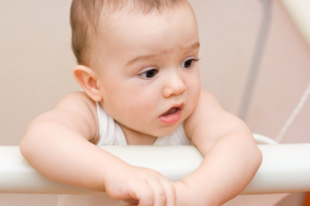 Cute caucasian baby in manege - Photo, image