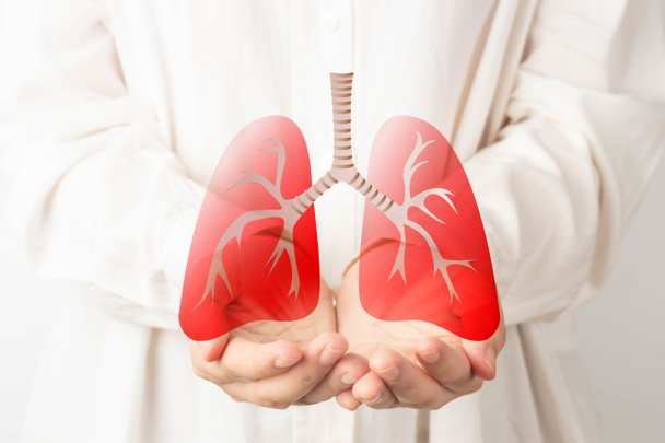 Emberi kéz, tüdő szerv szimbólummal. A tüdőrák, a tüdőgyulladás, az asztma, a COPD, a pulmonális hipertónia, a dohányzás nélküli világ és az öko-levegőszennyezés tudatossága. Légzőszervi és mellkasi koncepció. - Fotó, kép