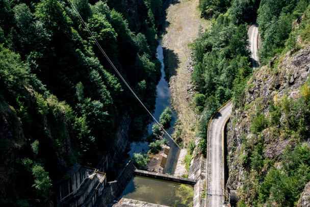 The Transfagarasan downstream of the Vidraru lake area shelters reservations with various species of animals such as: deer, deer, bear, wolf, black goat, quince, mountain rooster, otters. - Fotografie, Obrázek