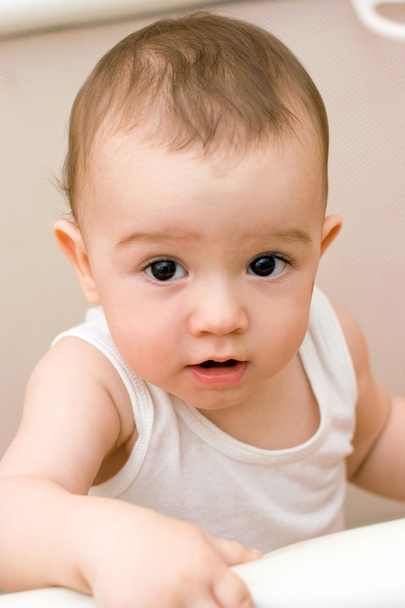 Cute caucasian baby in manege - Foto, imagen