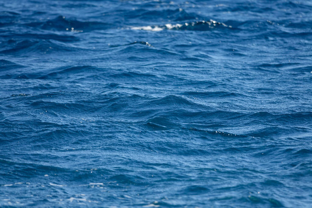 CLOSE UP: Detailed shot of ripple and small waves in the deep blue Adriatic sea. - 写真・画像