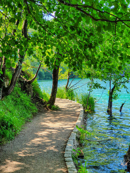 ВЕРТИКАЛ: Живописная пустая дорожка проходит вдоль красивого изумрудного озера в Хорватии. - Фото, изображение