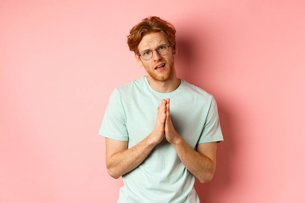 Redhead bearded guy begging for favour, holding hands in namaste gesture and asking for help, need something, standing over pink background - Photo, Image