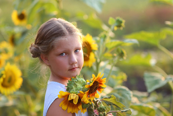 Kauneus iloinen tyttö auringonkukka nauttia luonnosta ja nauraa kesällä auringonkukkakentällä. Auringonpaiste, auringonsäteet, paistava aurinko. Laadukas kuva. - Valokuva, kuva