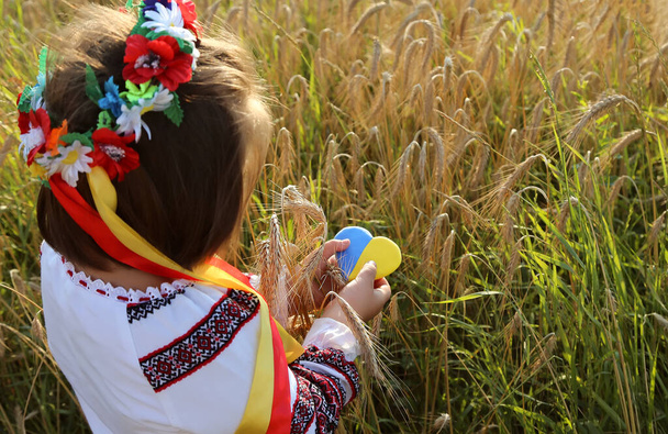 Ukraińskie serce niesione przez dziewczynę. Żółte i niebieskie serce i kolce pszenicy w rękach dziecka w haftowanej koszuli vyshyvanka. Dzień Niepodległości Ukrainy, Konstytucja, Flaga - Zdjęcie, obraz