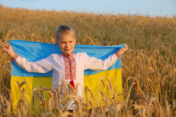 Gelukkig Oekraïense jongen draagt fladderende blauwe en gele vlag van Oekraïne tegen blauwe lucht en tarwe veld achtergrond. Vier grondwettelijke dag, onafhankelijkheid, vlaggendag - Foto, afbeelding