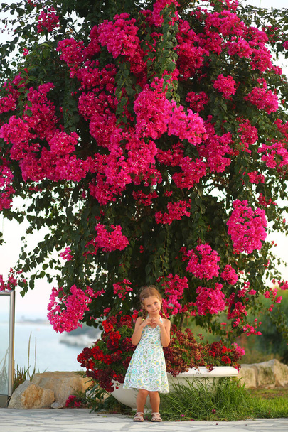 Beautiful caucasian girl showing heart gesture under the blooming bush of pink bougainvillea - Photo, Image