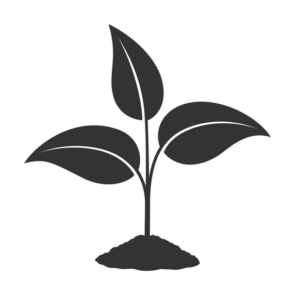 Ícone gráfico de broto. Planta jovem crescendo no sinal de chão isolado no fundo branco. Símbolo das plântulas. Ilustração vetorial - Vetor, Imagem