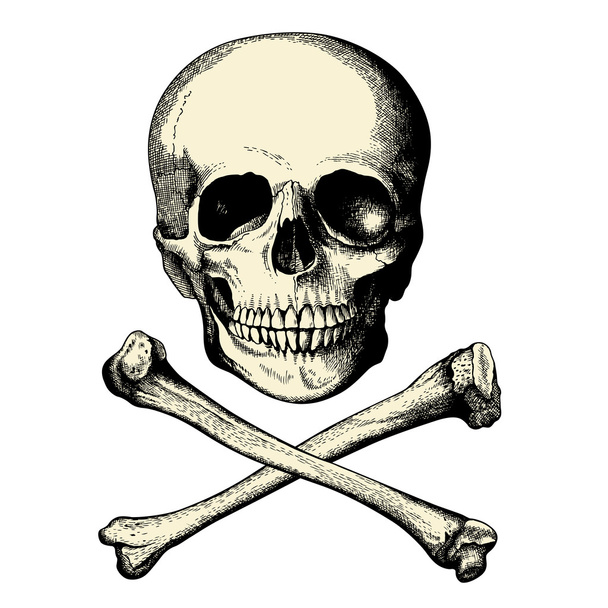 kafatası ve kemiklerin - Vektör, Görsel