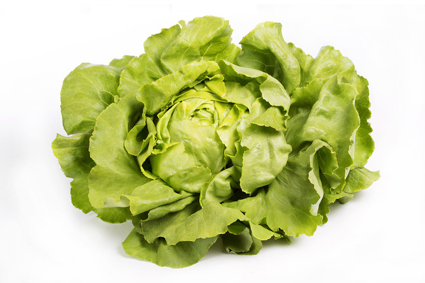 Beautiful lettuce on white background - Фото, изображение