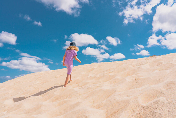 Aerial view photo - a lonely girl walks on the sandy desert.  - Foto, imagen