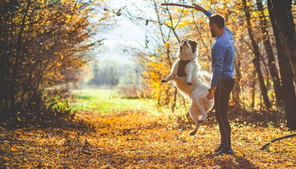 szczęśliwy pies i człowiek bawiący się w jesiennym lesie - Zdjęcie, obraz