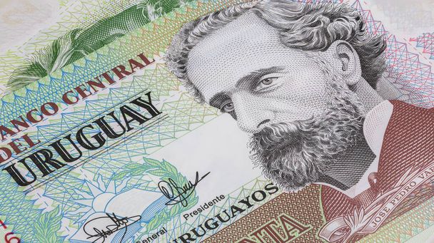 Close up to Uruguayan peso of the Republic of Uruguay. Polymer banknotes of South American country. Detailed capture of the front art design. Detailed money background wallpaper. Currency banknotes - Photo, Image