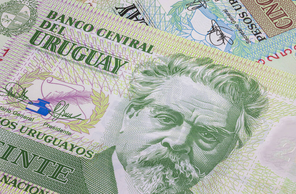 Close up to Uruguayan peso of the Republic of Uruguay. Polymer banknotes of South American country. Detailed capture of the front art design. Detailed money background wallpaper. Currency banknotes - Photo, Image