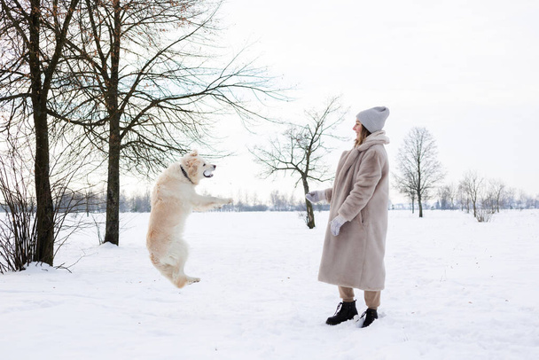 Молода красива жінка і її золотий собака-ретривер розважаються взимку
. - Фото, зображення