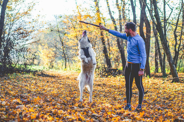 feliz perro y hombre jugando en el bosque de otoño - Foto, imagen
