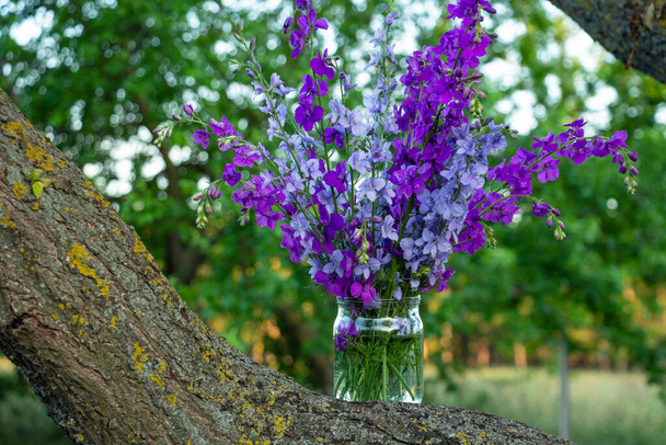 Beau bouquet de fleurs maison - delphinium bleu et violet dans un bocal d'eau - Photo, image