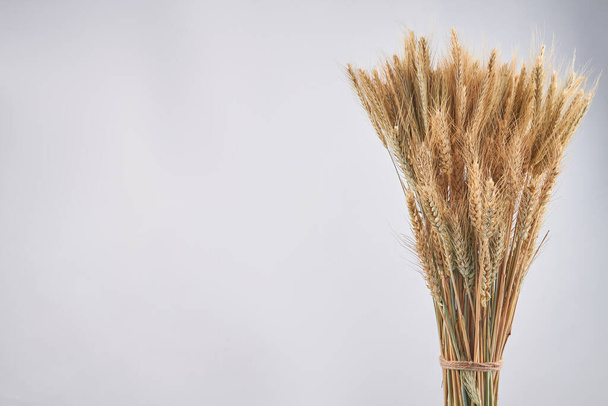 Bouquet de céréales de seigle de blé sec et espace de copie. - Photo, image