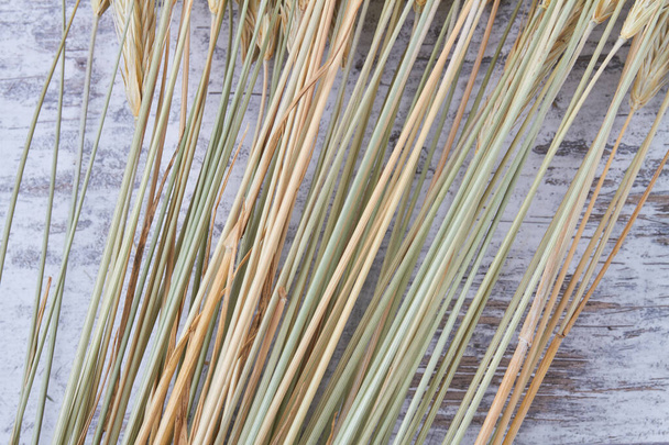 Tallos de trigo verde y amarillo de cerca sobre madera blanca. - Foto, Imagen