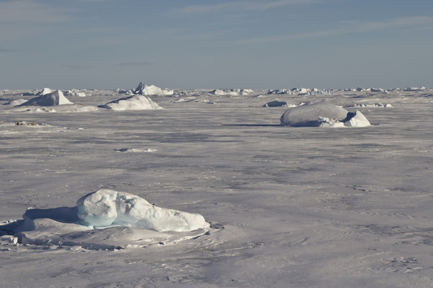 kleine ijsbergen bevroren in het ijs van de Zuidelijke Oceaan - Foto, afbeelding