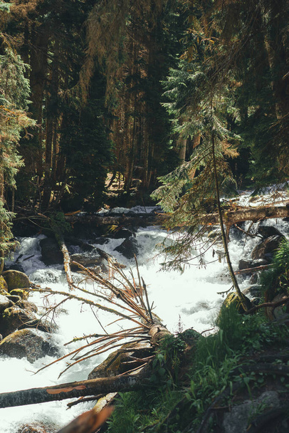 Горный ручей в лесу весной - Фото, изображение