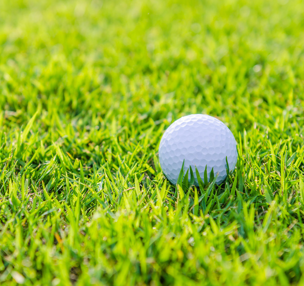 μπάλα του γκολφ στο πράσινο γρασίδι - Φωτογραφία, εικόνα