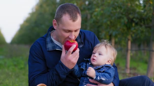 Sağlıklı beslenme, baba ve küçük oğlu büyük kırmızı elmayı ısırıyorlar. - Video, Çekim