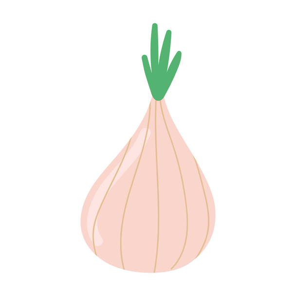 cebolla vegetal fresca - Vector, imagen