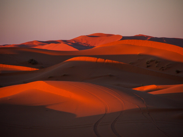 písečné duny v erg chebbi - Fotografie, Obrázek