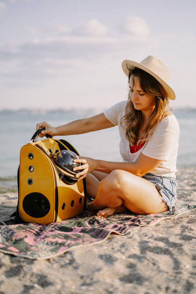 young woman with a cat in a backpack on the seashore. Travel concept with a pet. - 写真・画像