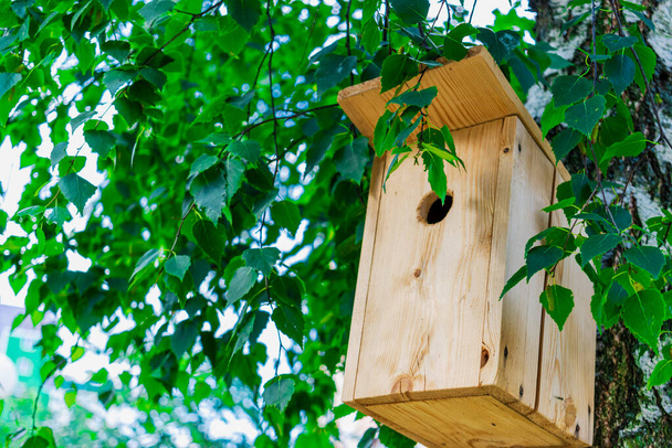 Birdhouse sur un arbre gros plan. Prendre soin des oiseaux et de l'environnement. Des mangeoires d'oiseaux. Soutien aux oiseaux et aux animaux - Photo, image