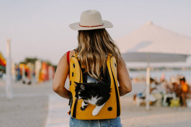 young woman with a cat in a backpack on the seashore. Travel concept with a pet. - Φωτογραφία, εικόνα