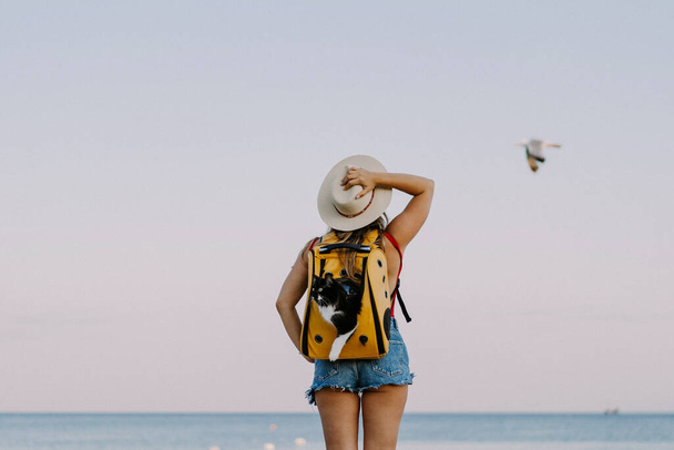 young woman with a cat in a backpack on the seashore. Travel concept with a pet. - Valokuva, kuva