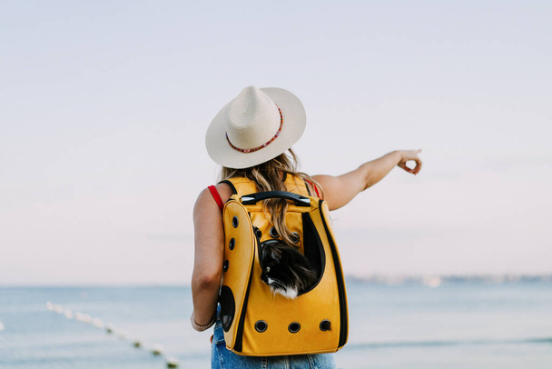 young woman with a cat in a backpack on the seashore. Travel concept with a pet. - Foto, immagini