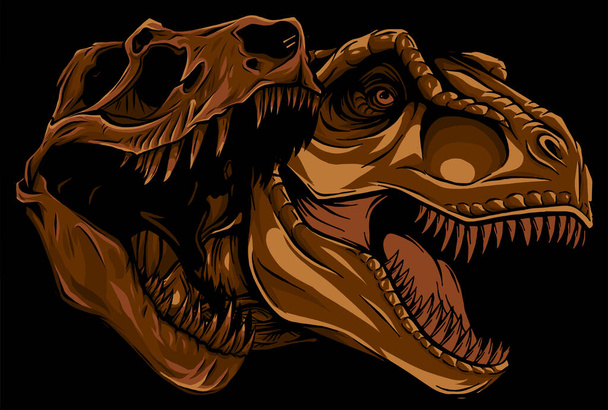 Tyrannosaurus rex avec dessin d'illustration vectorielle fossile du crâne - Vecteur, image