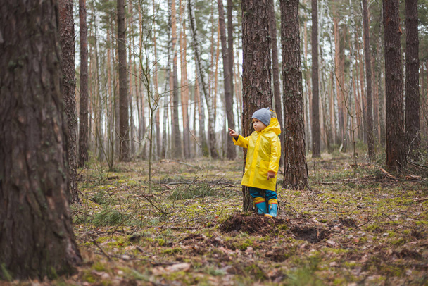 Child in the yellow raincoat walks in the forest after the rain and fun - Fotoğraf, Görsel