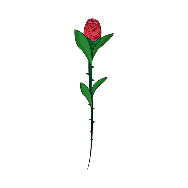 Isolated sketch of a flower - Vetor, Imagem