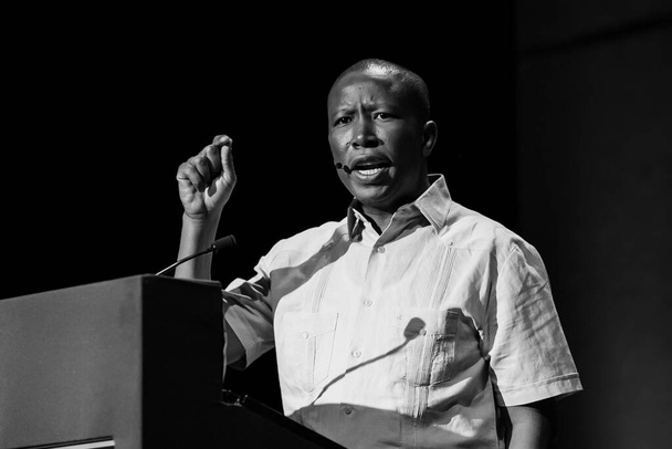 JOHANNESBURG, SOUTH AFRICA - Jan 05, 2021: A portrait of Julius Malema having a speech - Fotó, kép