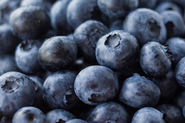 A lot of beautiful juicy fresh summer blueberries for background - Photo, Image