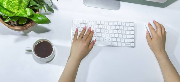 las manos escribiendo en un teclado, las manos en el teclado - Foto, Imagen