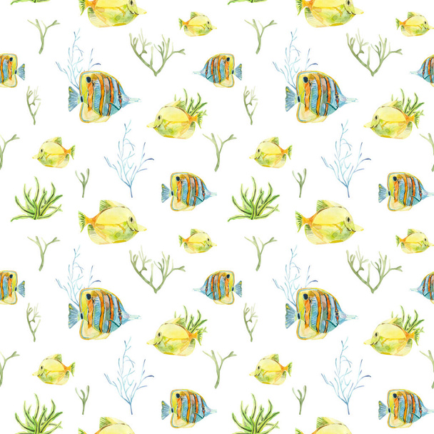 Watercolor seamless pattern with exotic fish and corals. - Foto, immagini