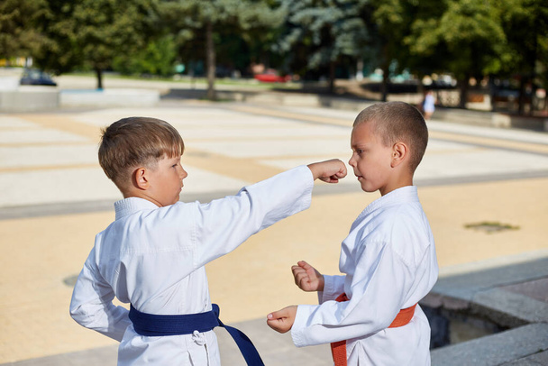 Due ragazzi eseguono pugni e tecniche di difesa all'aria aperta - Foto, immagini
