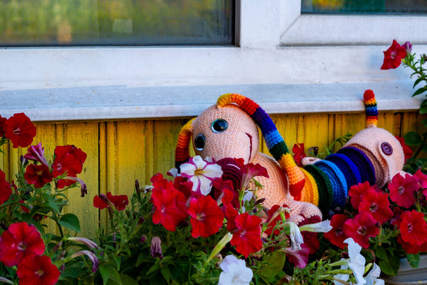 Amigurumi muñeca arco iris dachshund posa para un fotógrafo en el jardín en verano. - Foto, Imagen