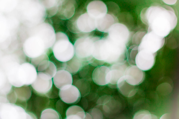 Väri pyöreä vaaleanvihreä bokeh tausta - Valokuva, kuva