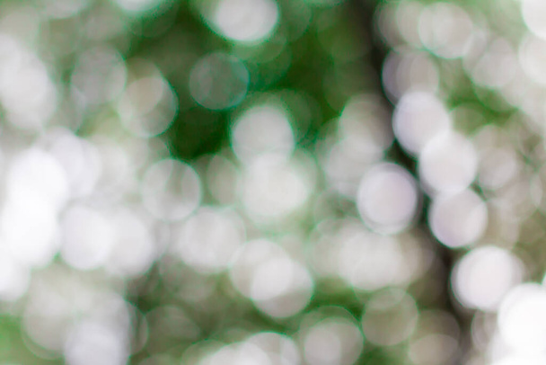 Szín körkörös fény zöld bokeh háttér - Fotó, kép